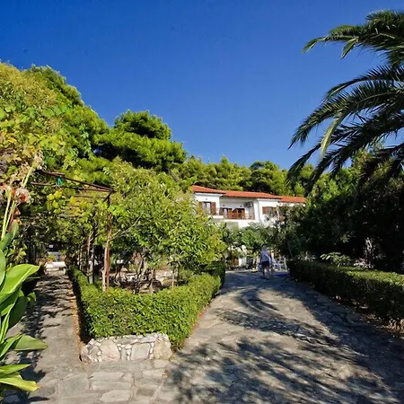 Delphi 4*